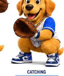 Dinger Dog catching